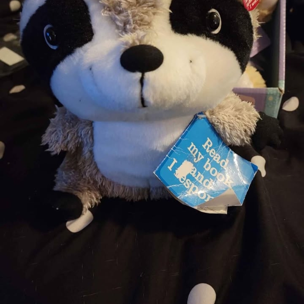 Hallmark Interactive Raccoon Story Buddy